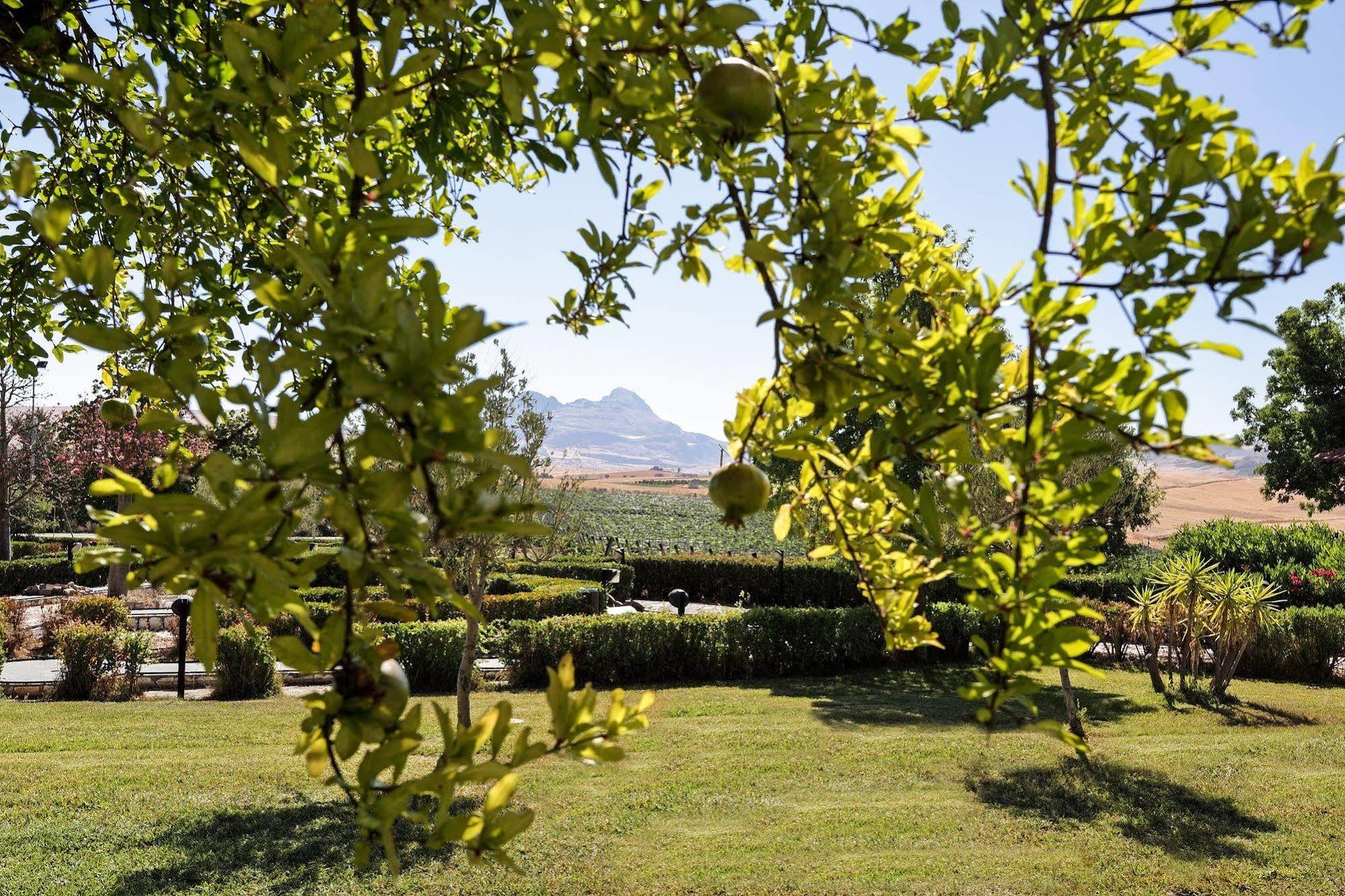 Agriturismo Tenute Pollara Roccamena Εξωτερικό φωτογραφία